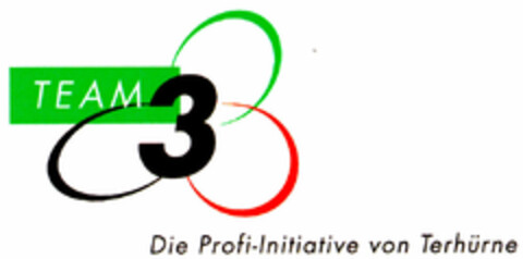 TEAM 3 Die Profi-Initiative von Terhürne Logo (DPMA, 11.05.2000)