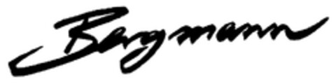Bergmann Logo (DPMA, 11.07.2008)