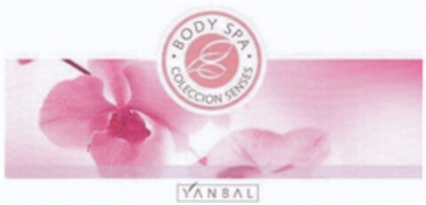 BODY SPA COLECCION SENSES YANBAL Logo (DPMA, 23.07.2008)