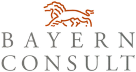 BAYERN CONSULT Logo (DPMA, 09.03.2020)