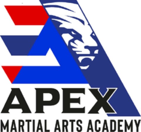 APEX MARIAL ARTS ACADEMY Logo (DPMA, 05/14/2024)