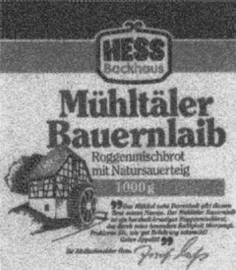 HESS BACKHAUS Logo (DPMA, 04.07.1989)