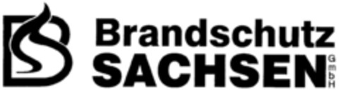 Brandschutz SACHSEN GmbH Logo (DPMA, 18.03.2002)