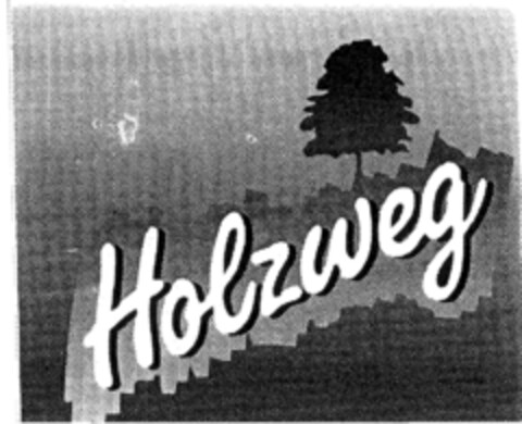 Holzweg Logo (DPMA, 08/12/1995)