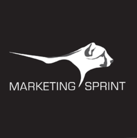 MARKETING SPRINT Logo (DPMA, 27.02.2014)