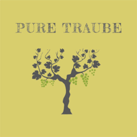 PURE TRAUBE Logo (DPMA, 05/08/2020)