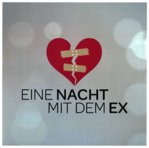 EINE NACHT MIT DEM EX Logo (DPMA, 22.02.2018)