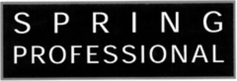 SPRING PROFESSIONAL Logo (DPMA, 03/07/2005)