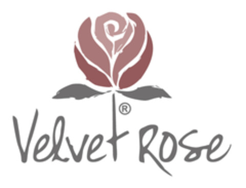 Velvet Rose Logo (DPMA, 20.03.2019)