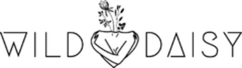 WILD DAISY Logo (DPMA, 02.09.2019)