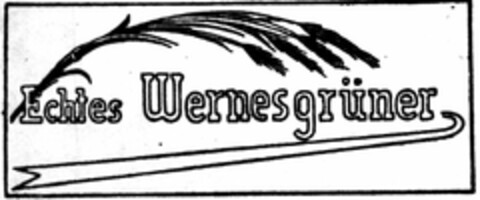 Echtes Wernesgruener Logo (DPMA, 12.01.1929)