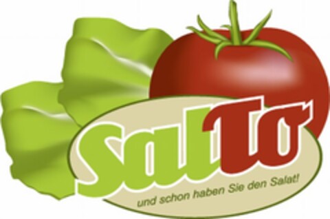 SalTo Logo (DPMA, 01.06.2011)