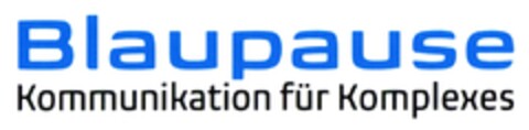 Blaupause Kommunikation für Komplexes Logo (DPMA, 06/14/2013)