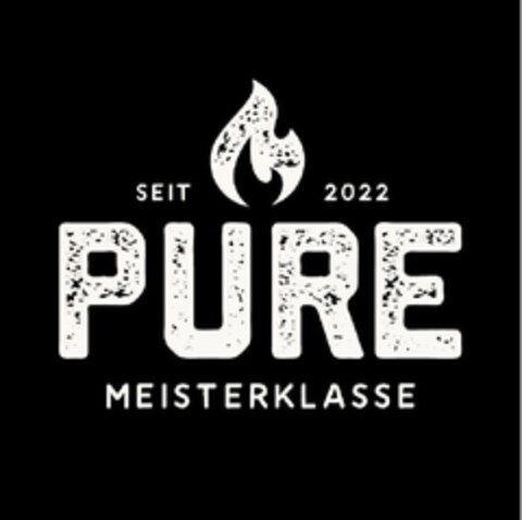 SEIT 2022 PURE MEISTERKLASSE Logo (DPMA, 09.11.2022)