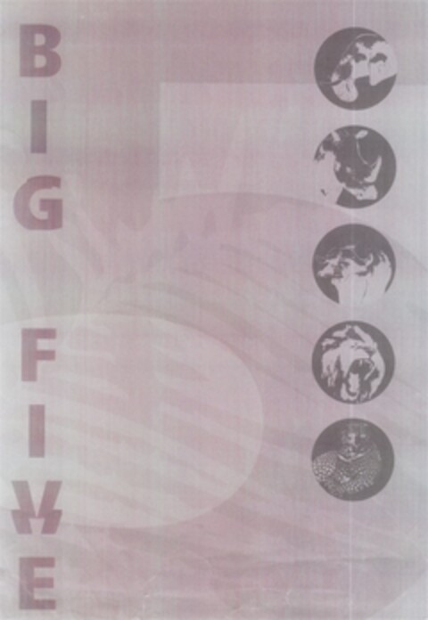 BIG FIVE Logo (DPMA, 26.10.2010)