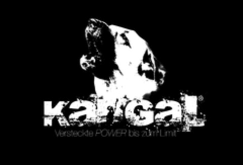 KanGaL Versteckte POWER bis zum Limit Logo (DPMA, 31.01.2011)