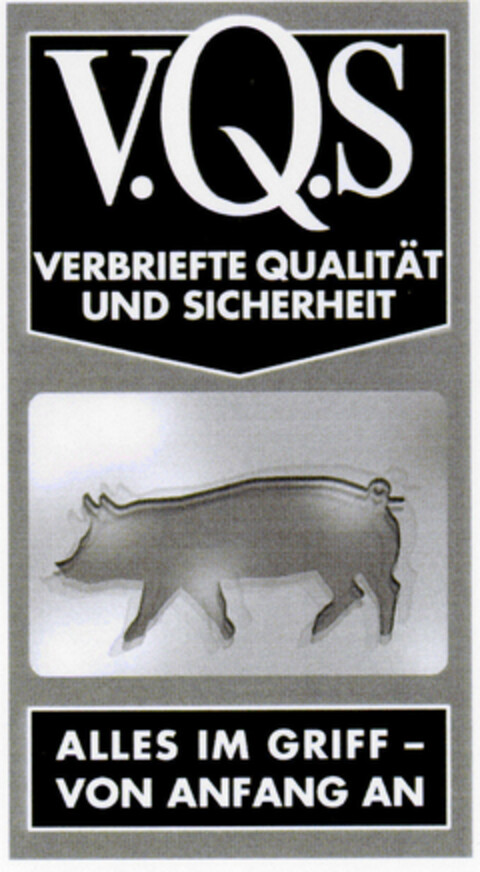 V.Q.S VERBRIEFTE QUALITÄT UND SICHERHEIT ALLES IM GRIFF - VON ANFANG AN Logo (DPMA, 02/24/2001)