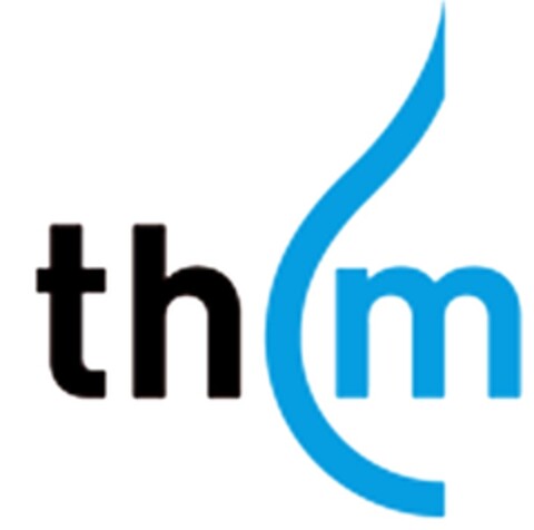 th m Logo (DPMA, 02/01/2013)