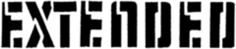 EXTENDED Logo (DPMA, 20.12.1993)