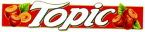 Topic Logo (DPMA, 05/06/1995)