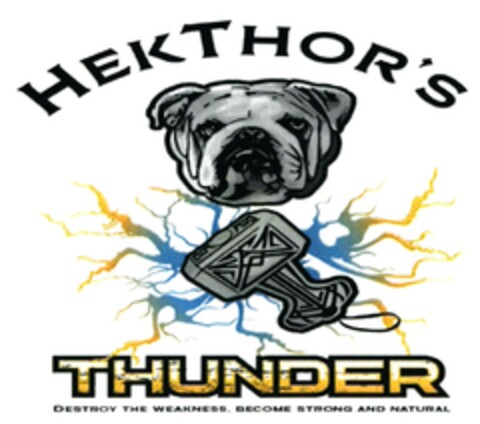 HEKTHOR'S THUNDER Logo (DPMA, 18.11.2015)