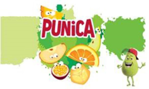 PUNiCA Logo (DPMA, 06.02.2019)