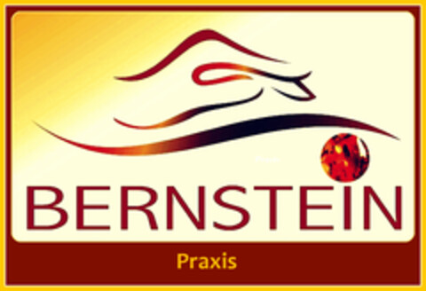 BERNSTEIN Praxis Logo (DPMA, 11.02.2013)