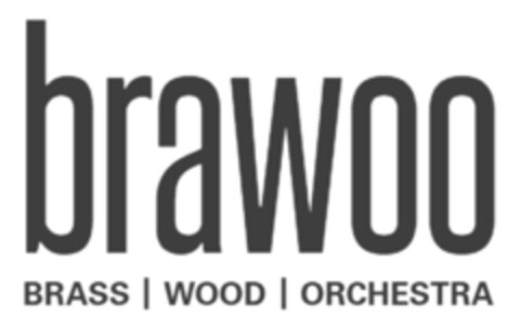 brawoo BRASS | WOOD | ORCHESTRA Logo (DPMA, 11/01/2019)
