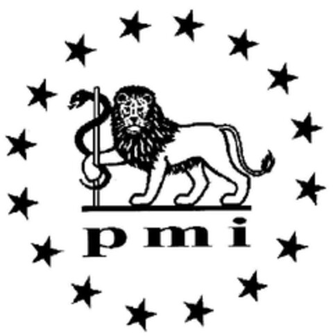 pmi Logo (DPMA, 28.09.2002)