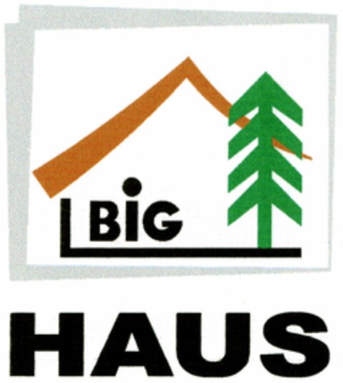 BIG HAUS Logo (DPMA, 01.03.2006)