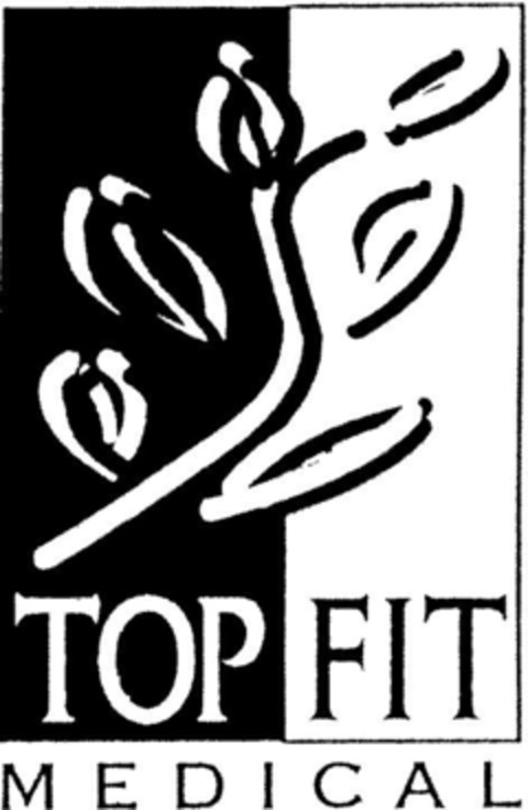 TOP FIT MEDICAL Logo (DPMA, 08.07.1994)