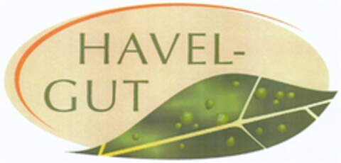 HAVEL-GUT Logo (DPMA, 11/19/2009)