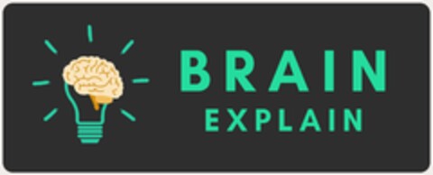 BRAIN EXPLAIN Logo (DPMA, 26.08.2024)