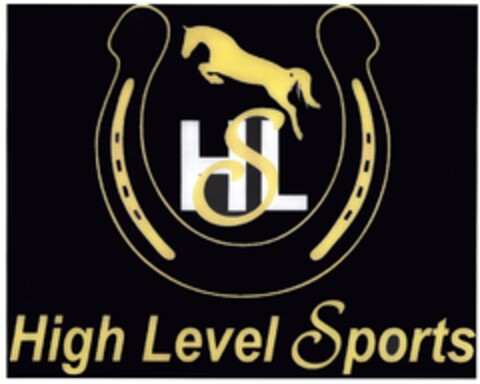 HLS High Level Sports Logo (DPMA, 05/11/2012)