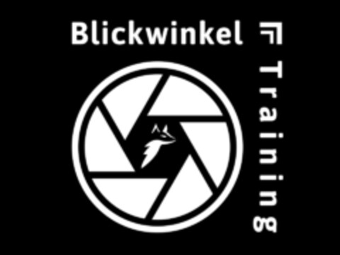 Blickwinkel Training Logo (DPMA, 25.02.2020)