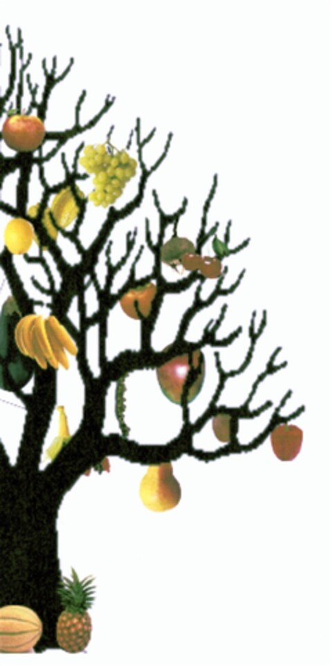 Kultur-Baum Logo (DPMA, 21.02.2008)