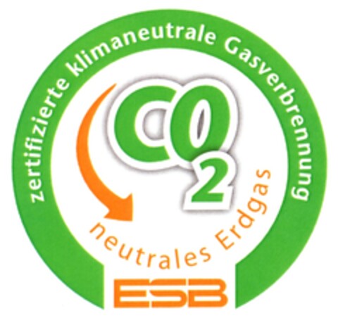 ESB Logo (DPMA, 29.09.2009)