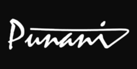 Punani Logo (DPMA, 06/29/2010)