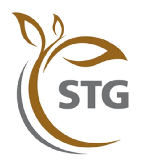STG Logo (DPMA, 05.11.2018)