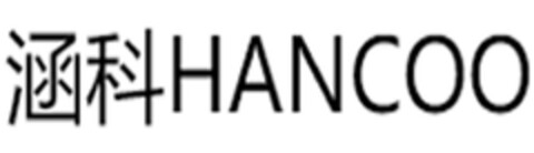 HANCOO Logo (DPMA, 24.12.2024)