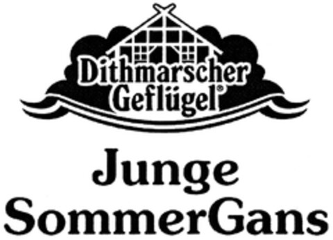 Dithmarscher Geflügel Junge SommerGans Logo (DPMA, 12/05/2013)