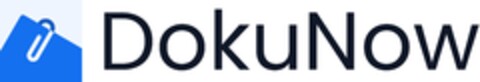 DokuNow Logo (DPMA, 03.07.2024)