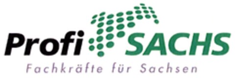 Profi SACHS Fachkräfte für Sachsen Logo (DPMA, 11/09/2009)