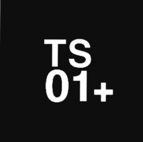TS 01 + Logo (DPMA, 04.09.2013)
