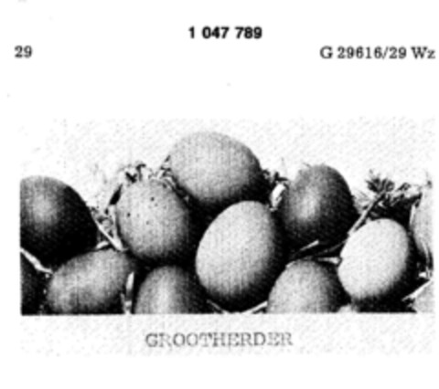 GROOTHERDER Logo (DPMA, 26.05.1982)