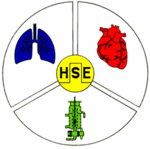 HSE Logo (DPMA, 12.08.1994)