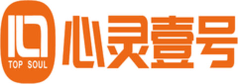 TOP SOUL Logo (DPMA, 05/10/2022)