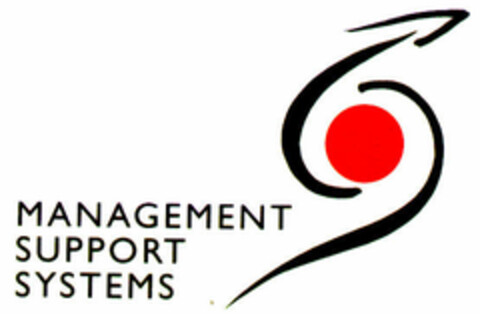 MANAGEMENT SUPPORT SYSTEMS Logo (DPMA, 02.12.1999)