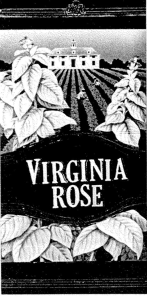 VIRGINIA ROSE Logo (DPMA, 01/05/1988)