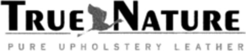 TRUE NATURE Logo (DPMA, 14.07.1994)